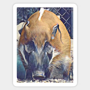 Red River Hog Sticker